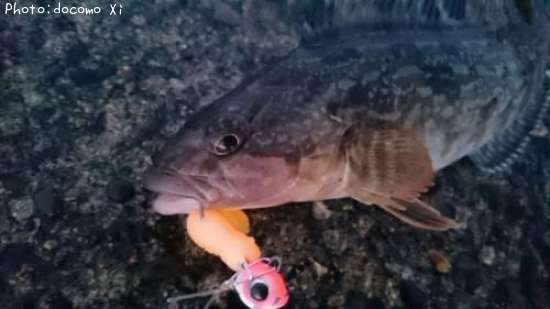 �����ʥ�