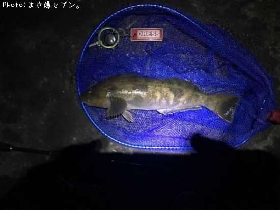 �����ʥ�