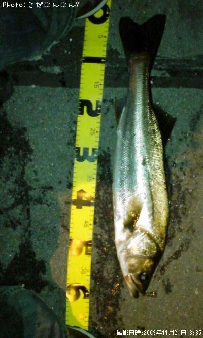 �����Х�