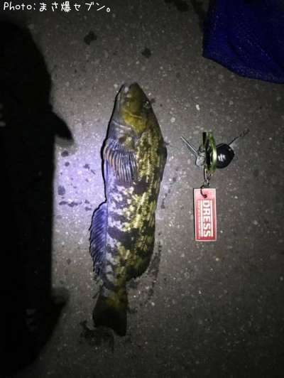 �����ʥ�