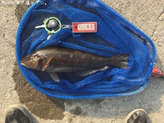 �����ʥ�