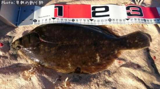 �ޥ����쥤