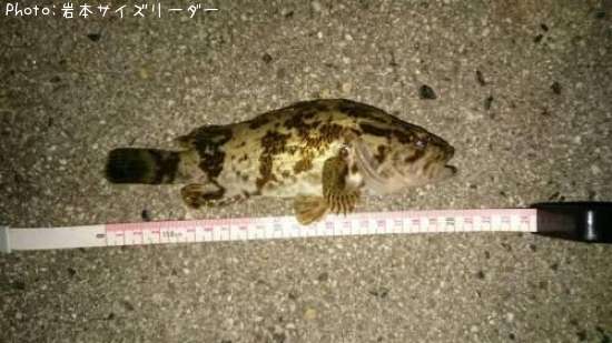 �����Υ���Х�