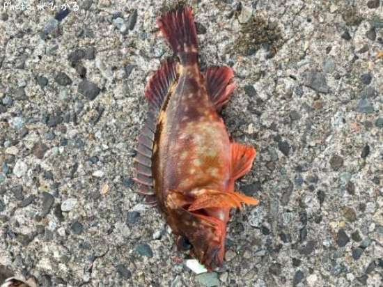 ��Х롩�����Ϥ���