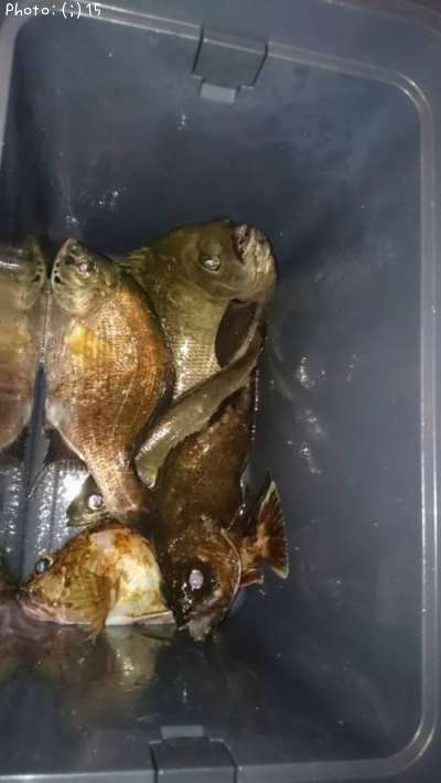 ��������Х롢���������᥸�ʡ������ʤ�