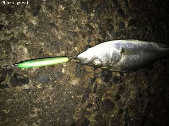 �����Х�