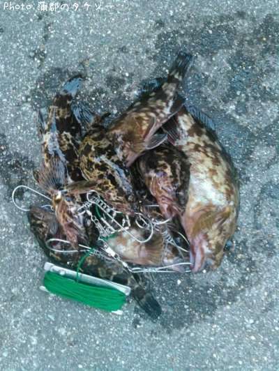 �����Υ���Х�