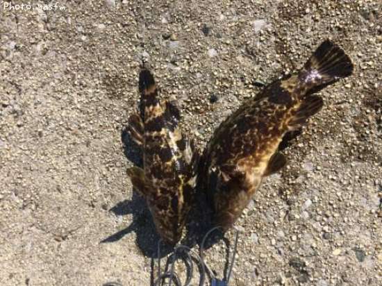 �����Υ���Х�