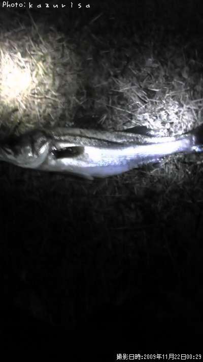 �����Х�