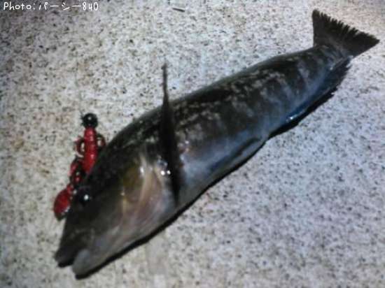 �����ʥ�