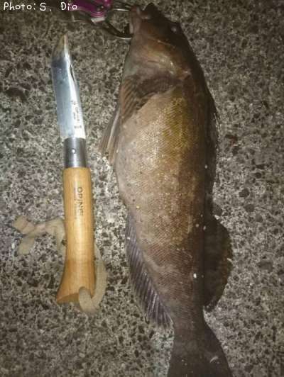 �����ʥ�