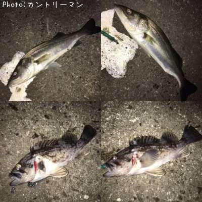 �����Х�