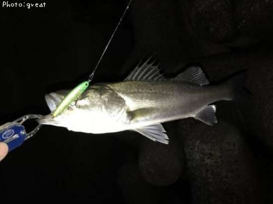 �����Х�