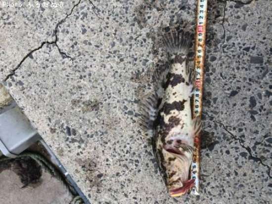 �����Υ���Х�