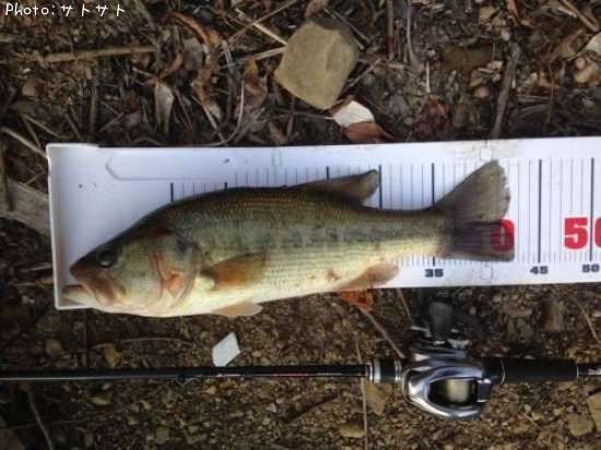 �֥�å��Х�