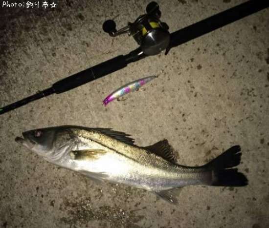 �����Х�