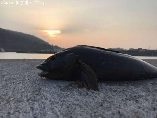 �����ʥ�