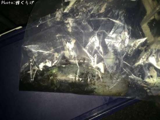 �����ꥤ��