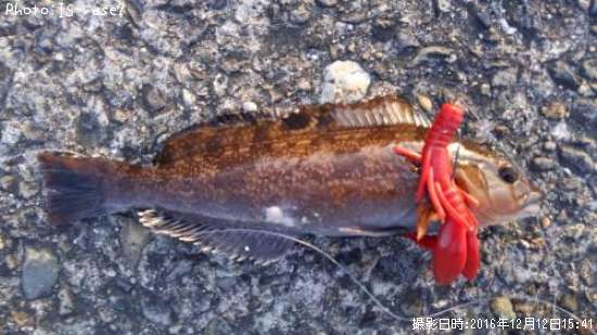 �����ʥ�