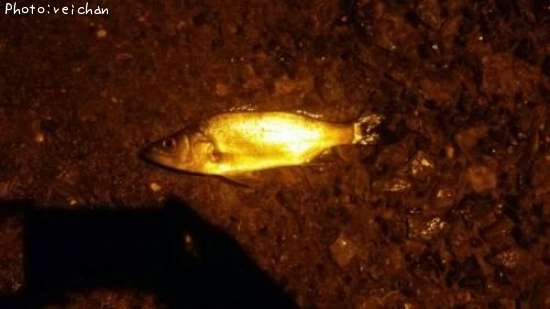 �ҥ饹����