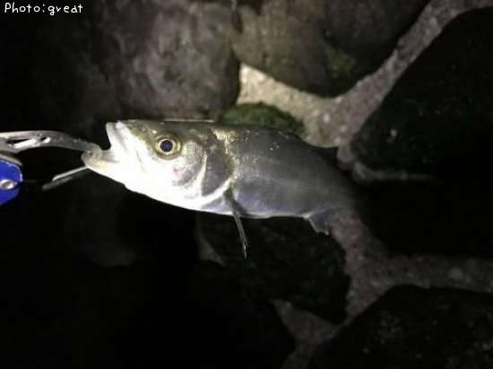 �����Х�