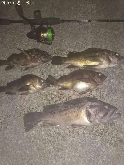 ������������饽������Х�