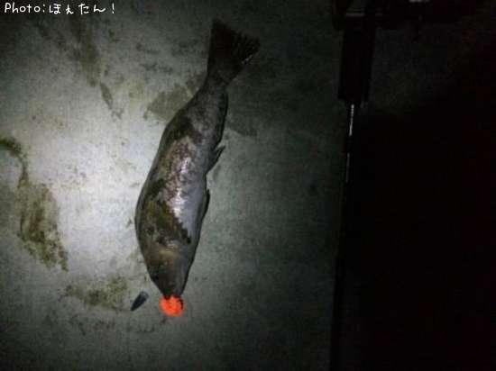 �����ʥ�