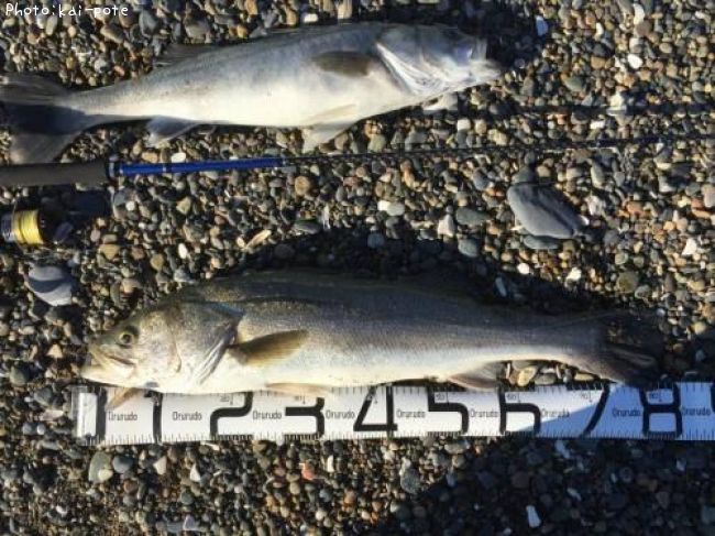 �����Х�