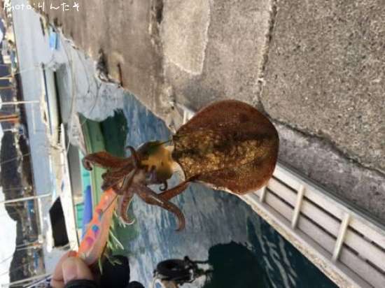 �����ꥤ��