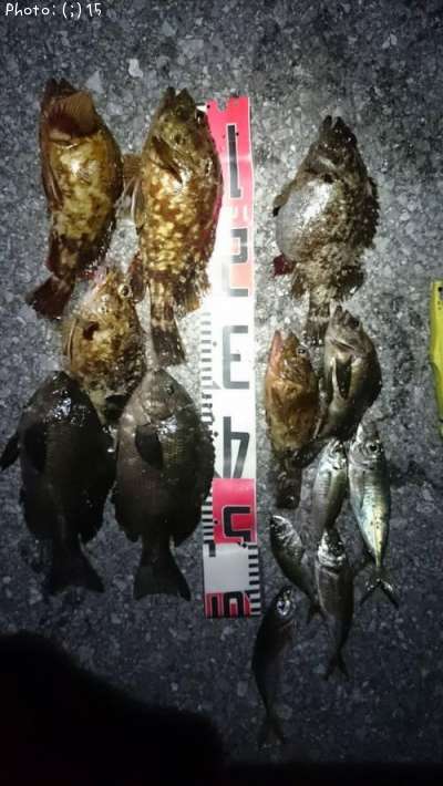 ����������������Х롢�������᥸��