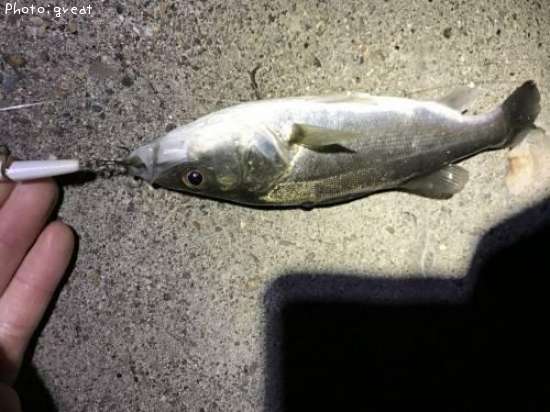 �����Х�