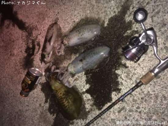 �����ꥤ��