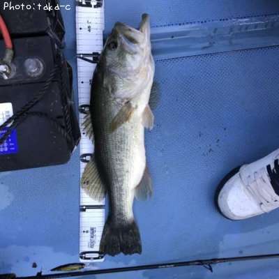 �֥�å��Х�