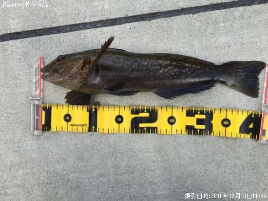 �����ʥ�