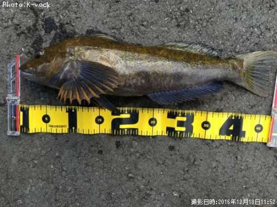 �����ʥ�