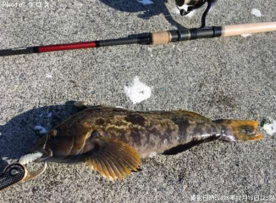 �����ʥ�