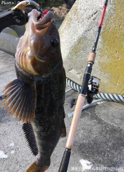 �����ʥ�