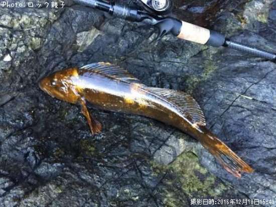 �����ʥ�