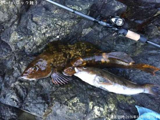 �����ʥ�