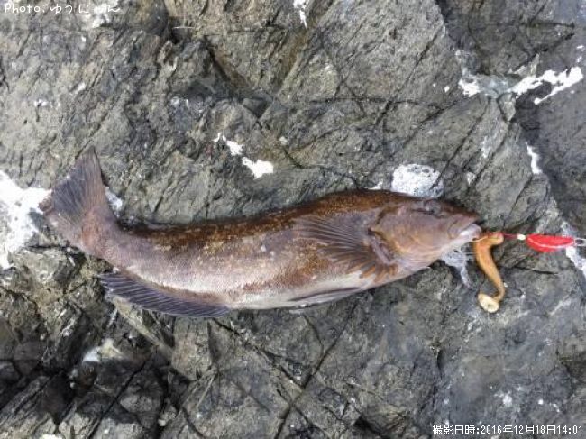 �����ʥ�