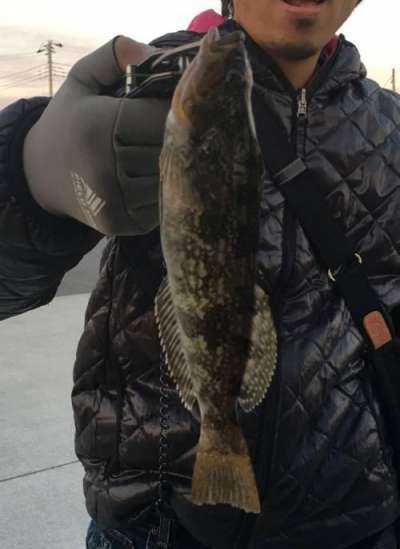 �����ʥ�