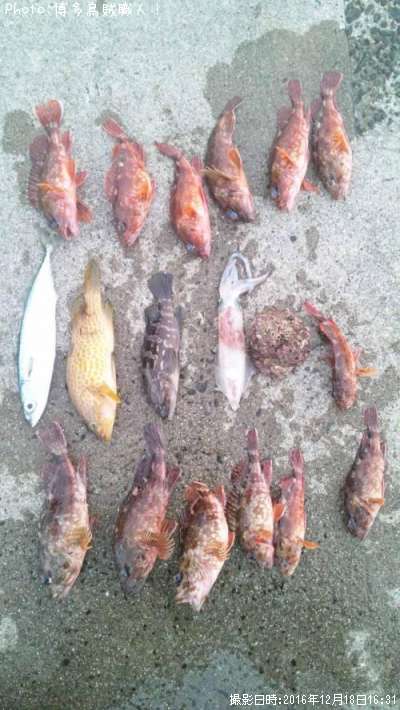 �����������С������ϥ������������󥵥�������������