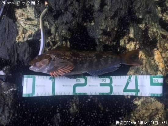 �����ʥ�