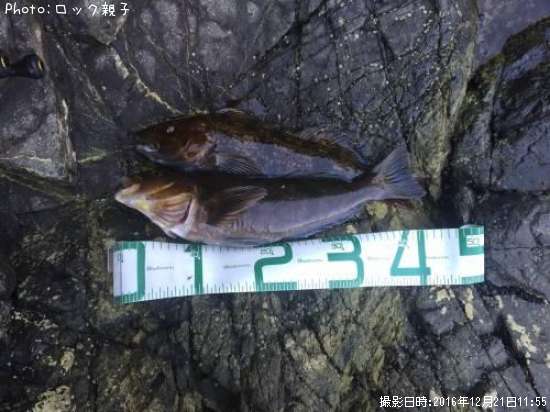 �����ʥ�