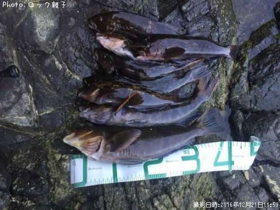 �����ʥ�