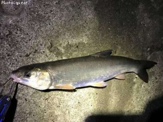 �ޥ륿������