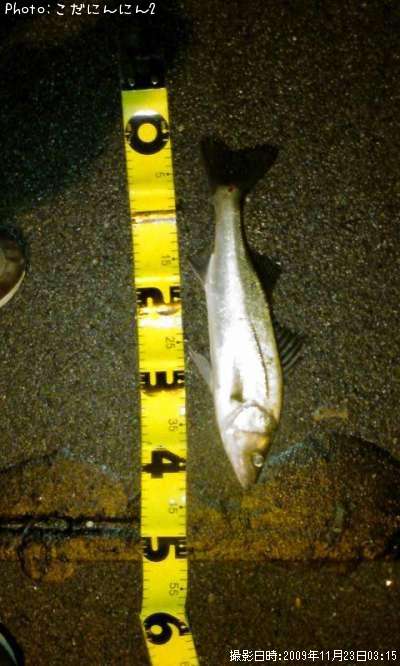 �����Х�