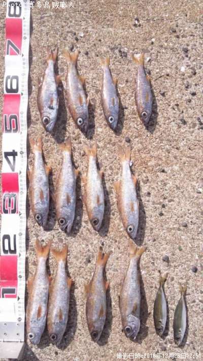 ��ġ�����