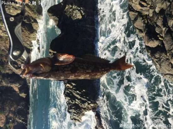 �����ʥ�