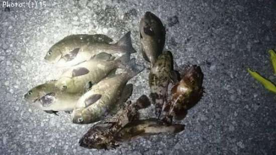 �������������������ʥᡢ�᥸��